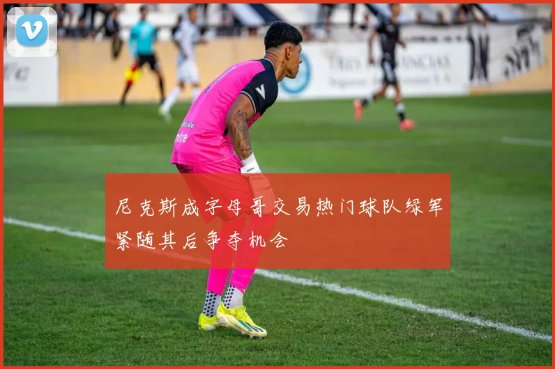 尼克斯成字母哥交易热门球队绿军紧随其后争夺机会