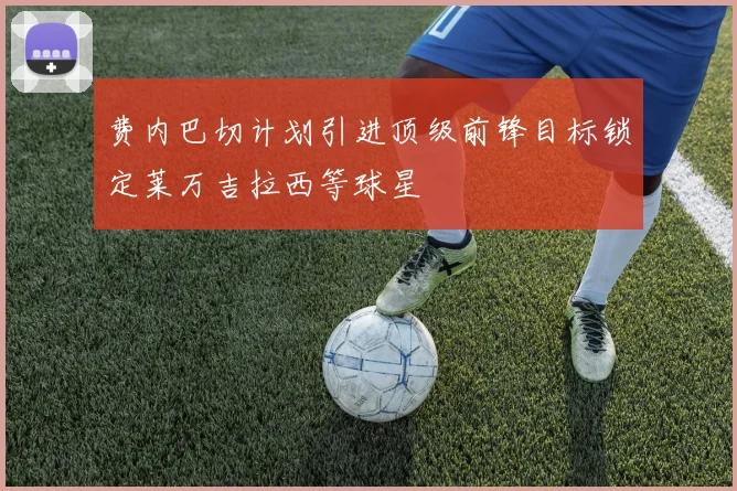 费内巴切计划引进顶级前锋目标锁定莱万吉拉西等球星