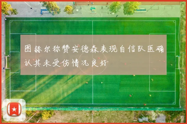 图赫尔称赞安德森表现自信队医确认其未受伤情况良好